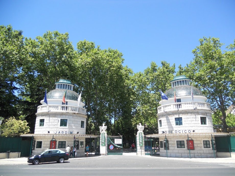 Zoológico de Lisboa - Foto 9