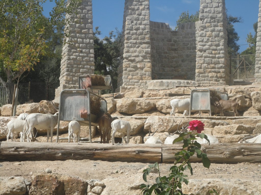 Zoológico de Lisboa 20