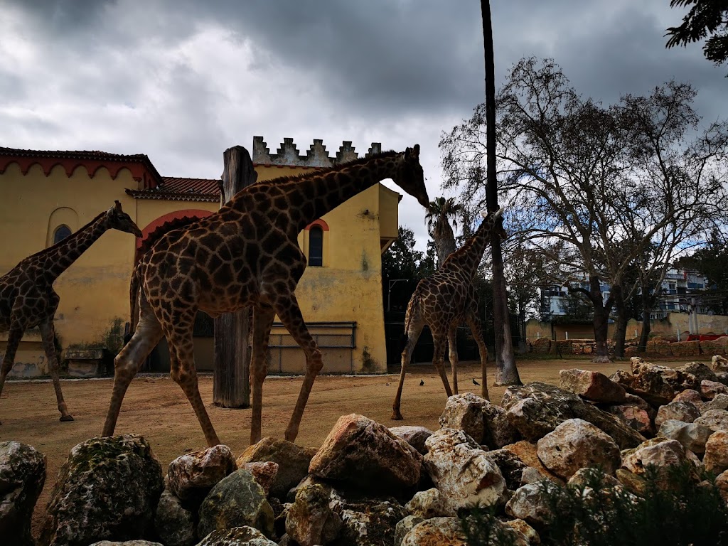 Zoológico de Lisboa 4