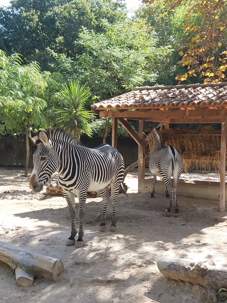 Zoológico de Lisboa 8