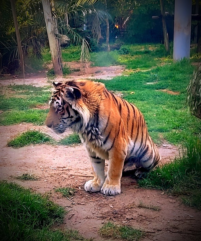 Zoológico de Lisboa - Foto 19