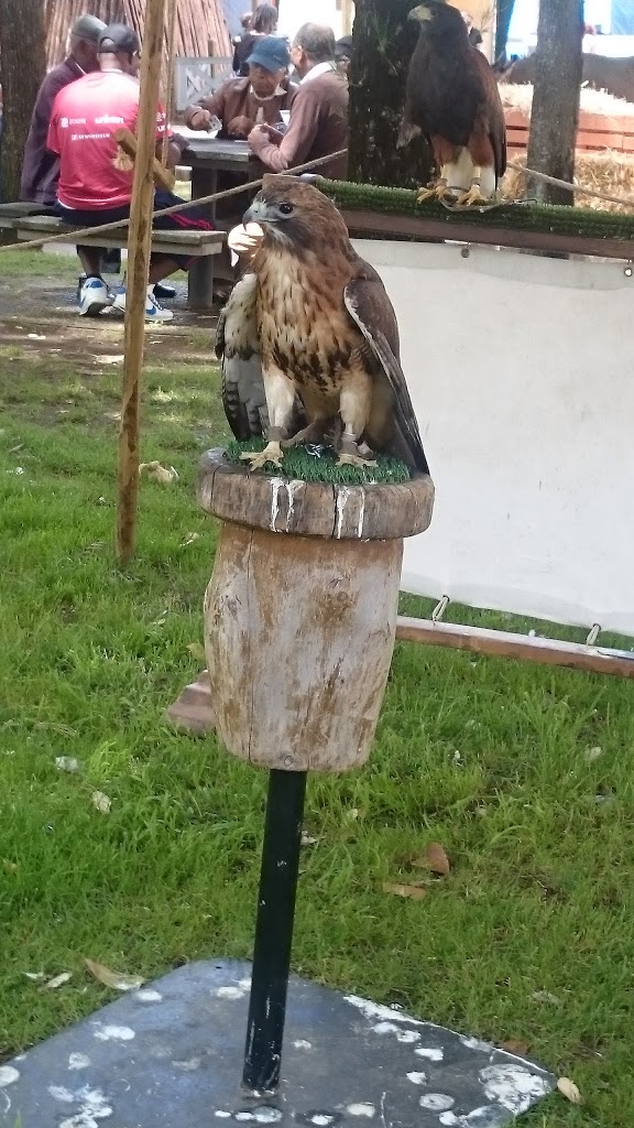 Playground of the Aromas Garden - Foto 4