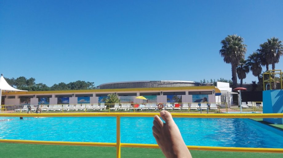 Sereia da Gelfa - Foto 9