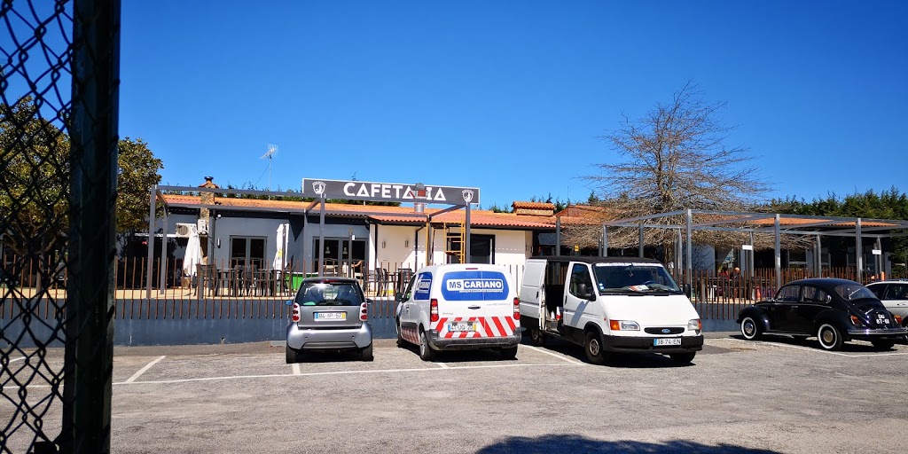 Sereia da Gelfa - Foto 1