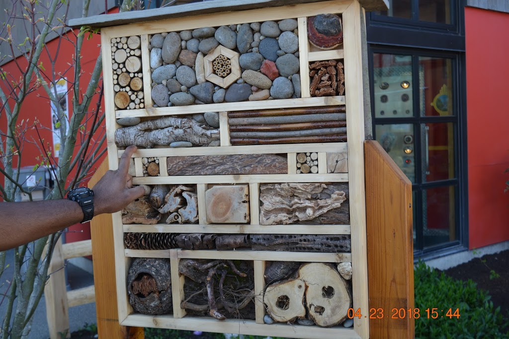 Hands On Children's Museum - Foto 1