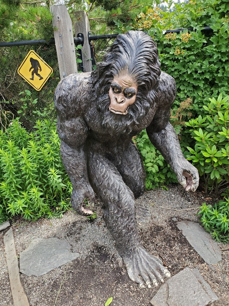 Hands On Children's Museum - Foto 15