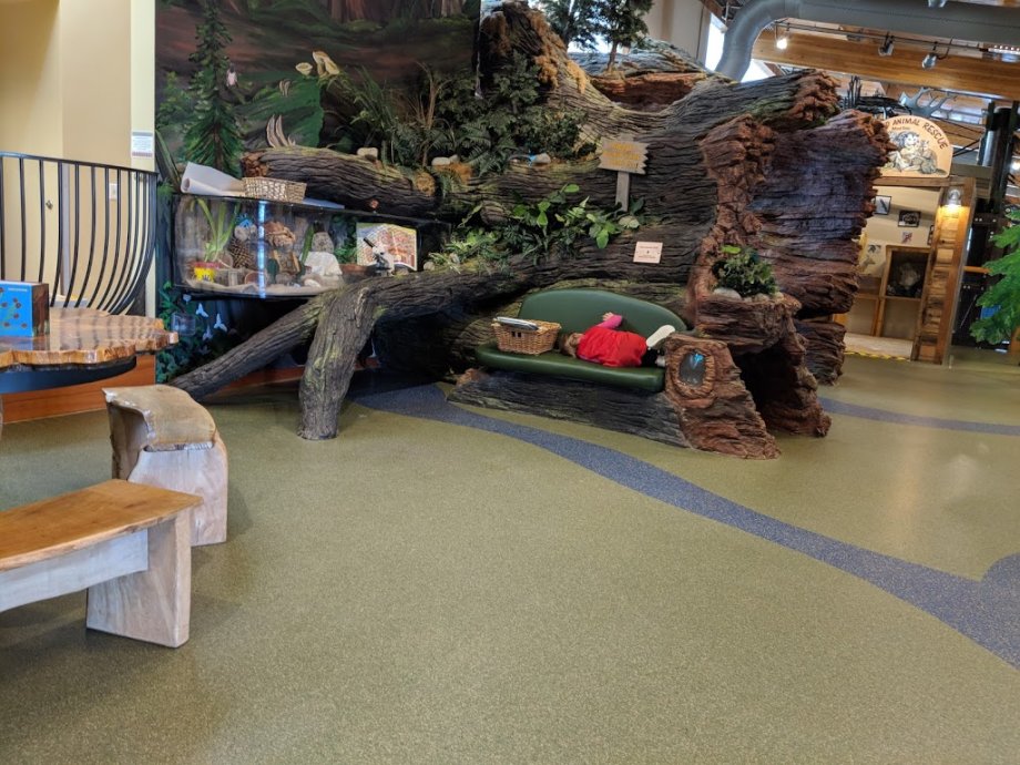 Hands On Children's Museum - Foto 17