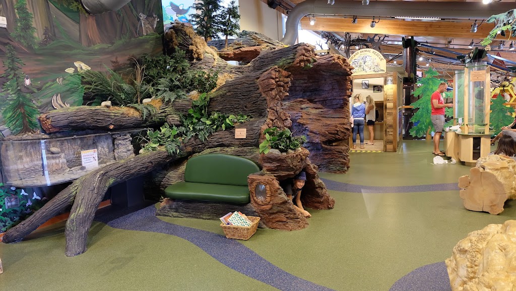 Hands On Children's Museum - Foto 1