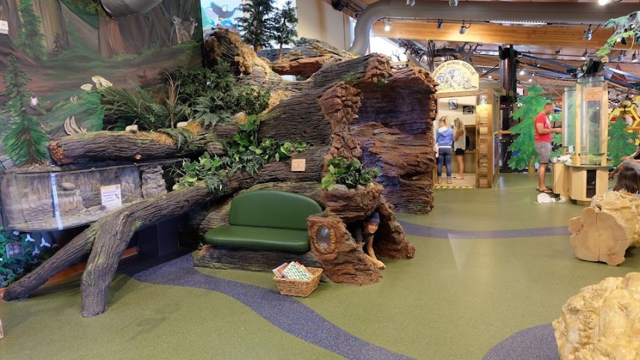 Hands On Children's Museum - Foto 21