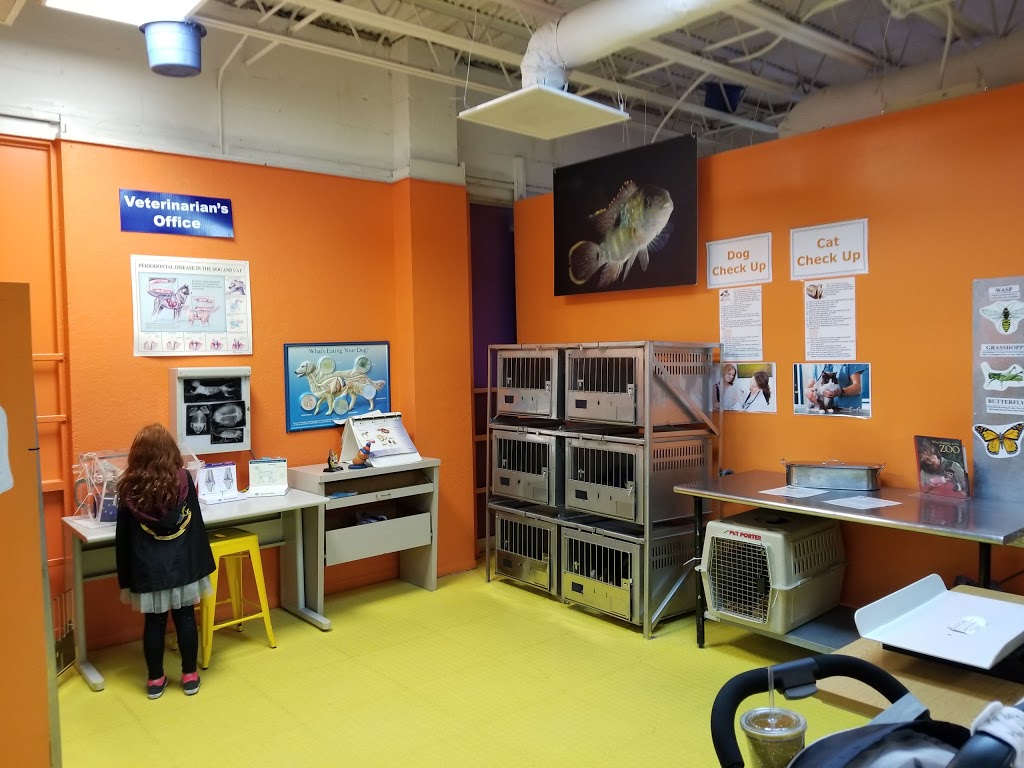 Jacksonville's Hands On Children's Museum - Foto 1