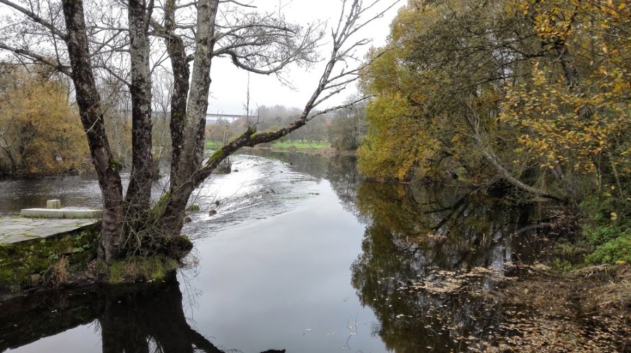 Parque das Saamasas - Foto 6