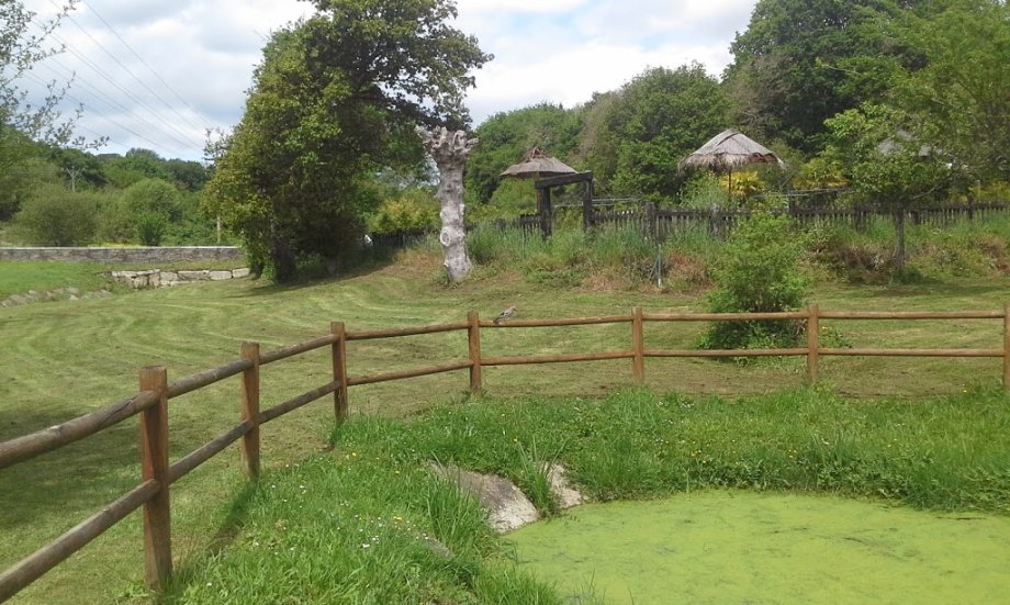 Parque das Saamasas - Foto 9