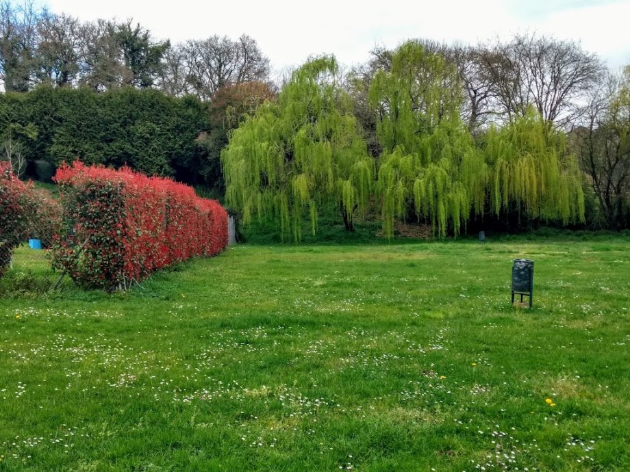 Parque das Saamasas - Foto 11