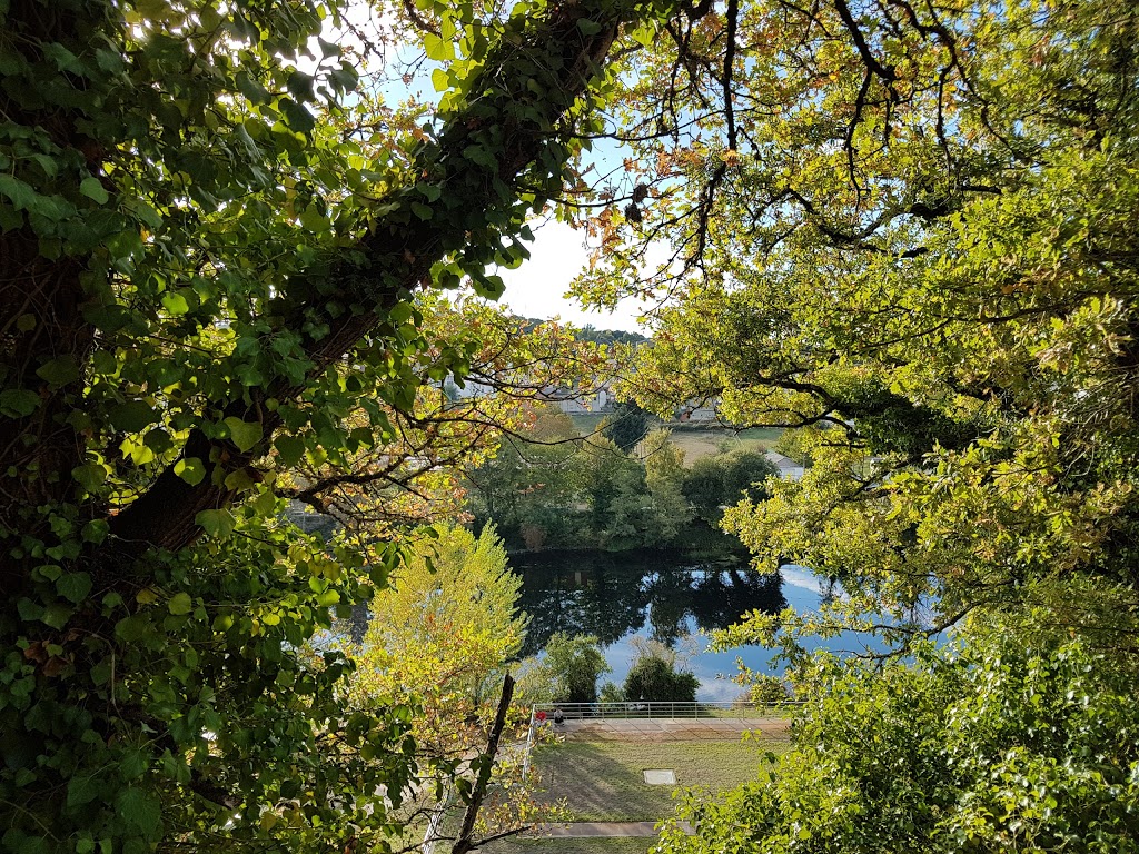 Parque Marcos Cela - Foto 1