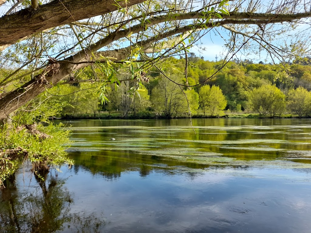 Parque do Miño - Foto 1
