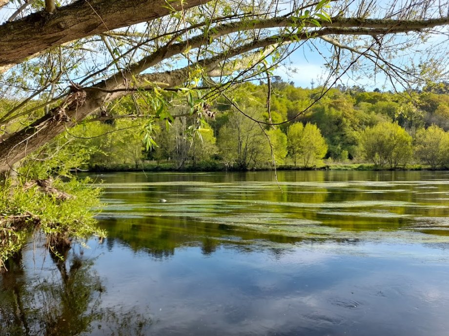 Parque do Miño - Foto 12