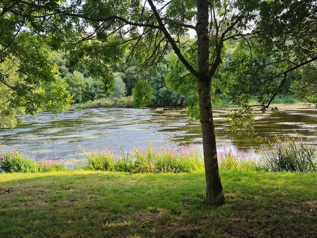 Parque do Miño - Foto 1