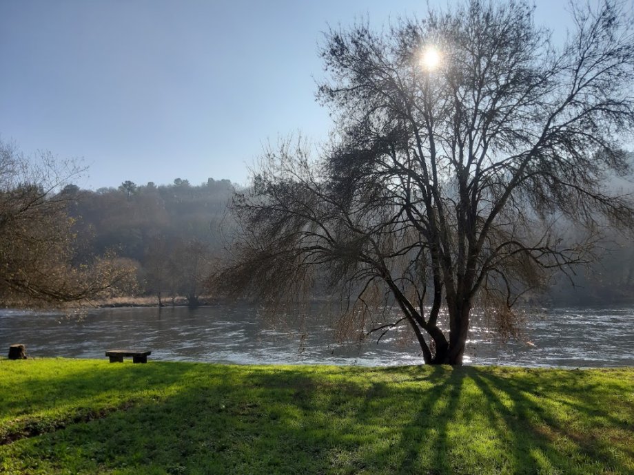 Parque do Miño - Foto 5