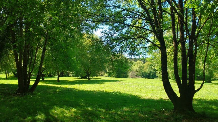 Parque do Miño - Foto 6