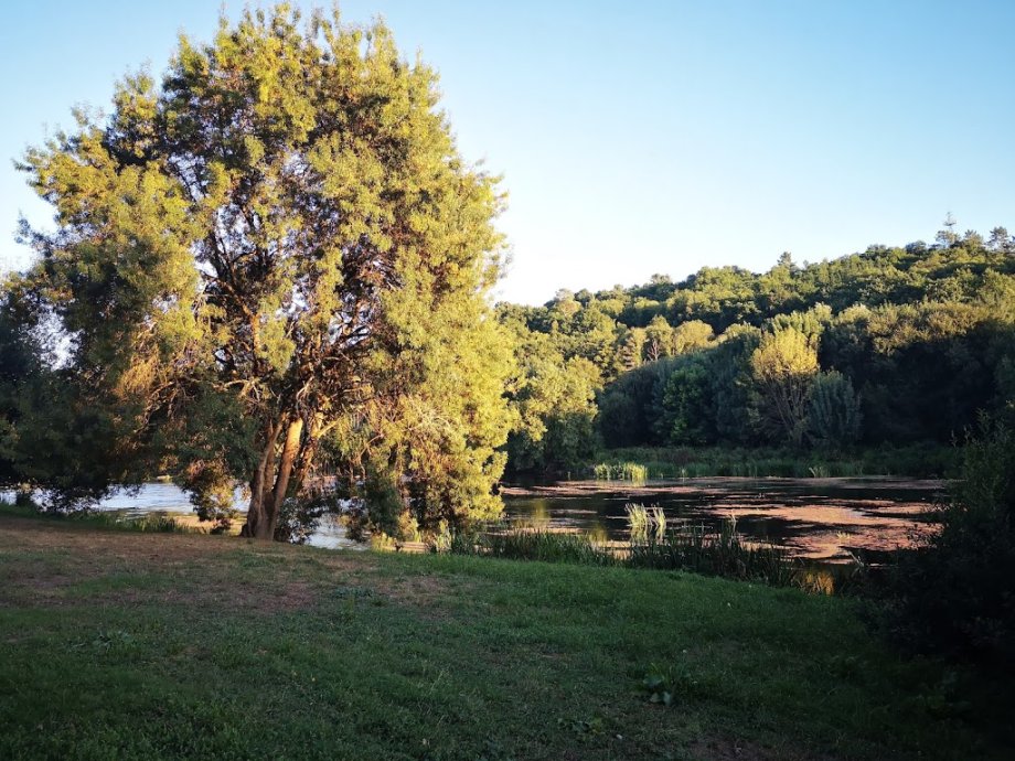 Parque do Miño - Foto 10