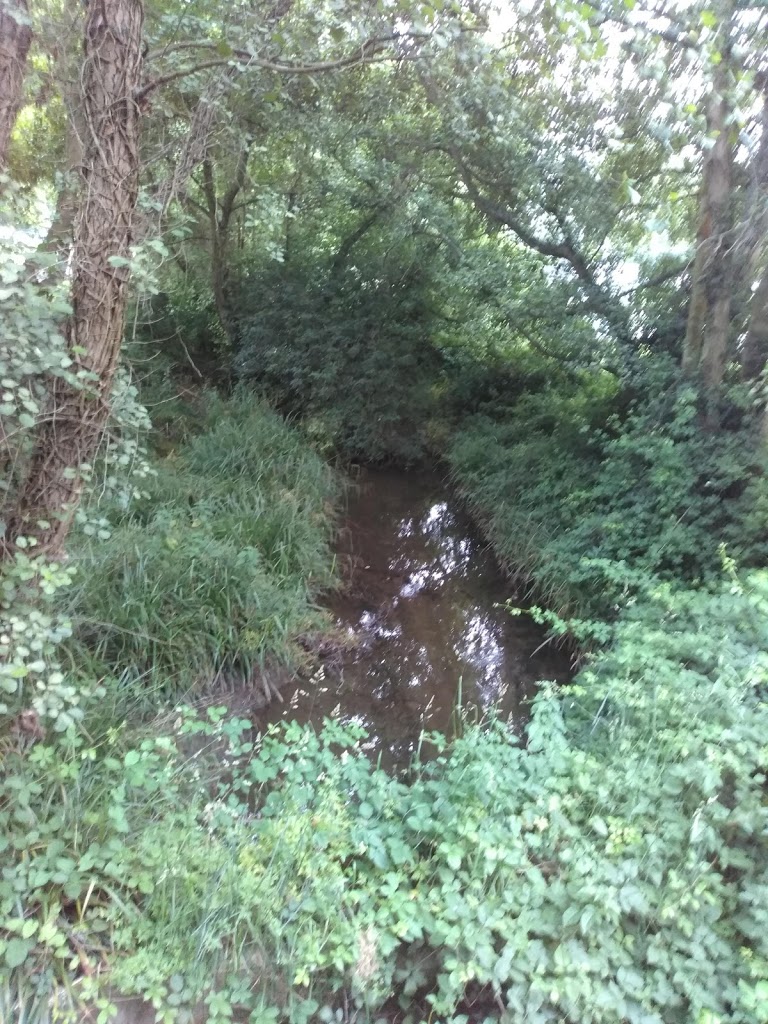 Parque Acea da Ma - Foto 2