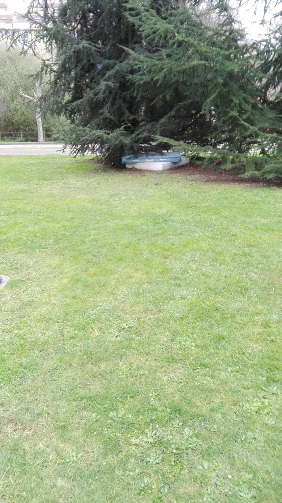 Parque Acea da Ma - Foto 3