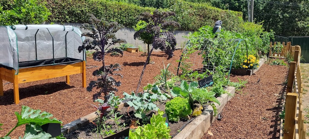 Donde viven los cuentos - Foto 1