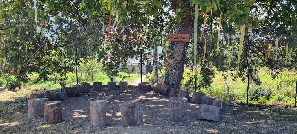 Donde viven los cuentos - Foto 1