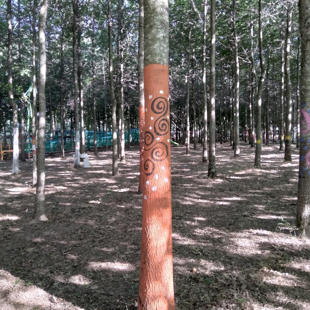 Pé Descalço Eco Parque - Foto 1