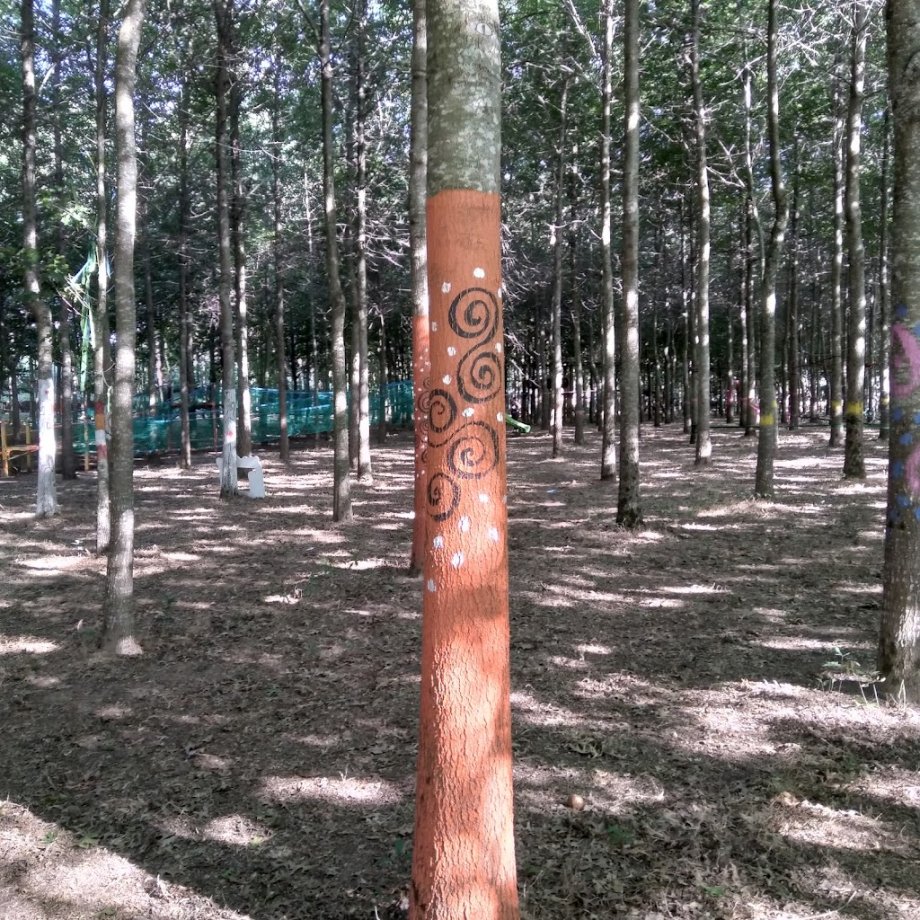 Pé Descalço Eco Parque - Foto 15