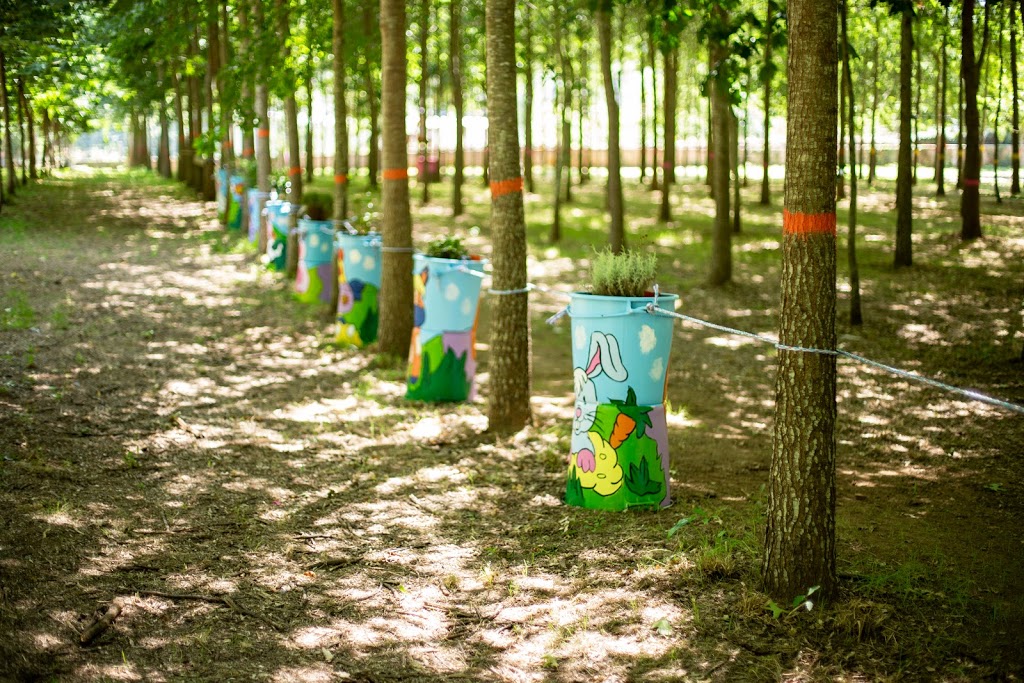 Pé Descalço Eco Parque - Foto 1