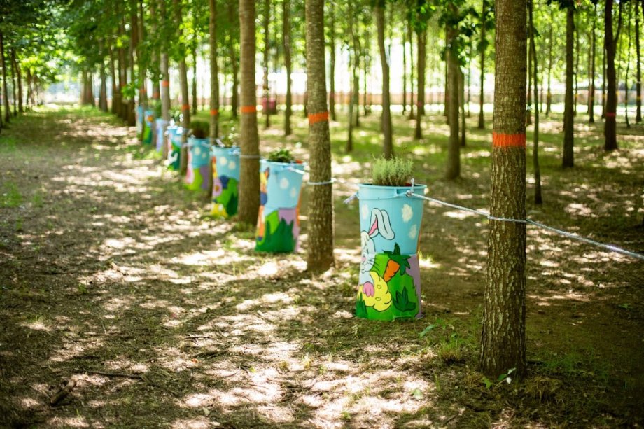 Pé Descalço Eco Parque - Foto 3