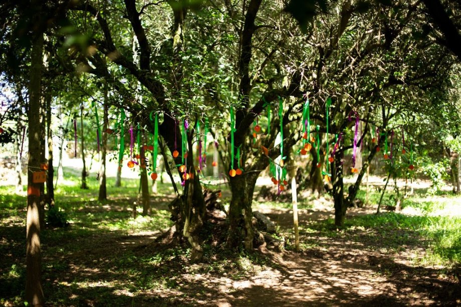 Pé Descalço Eco Parque - Foto 4