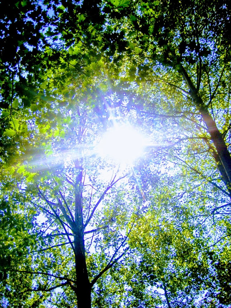 Pé Descalço Eco Parque - Foto 9