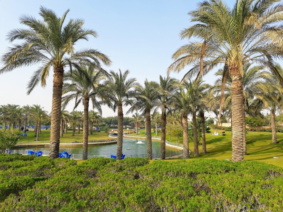 Family Park - Foto 12