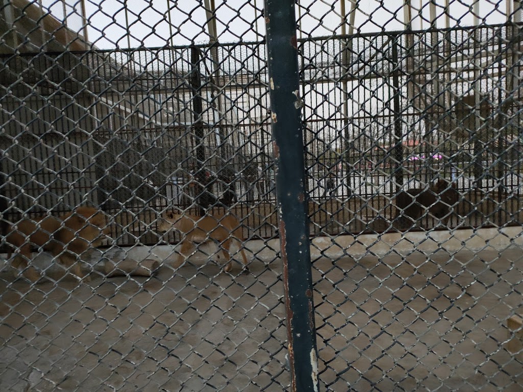 Family Park - Foto 1