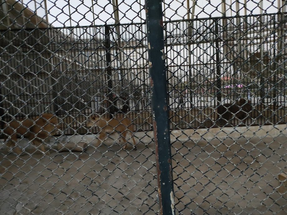 Family Park - Foto 15