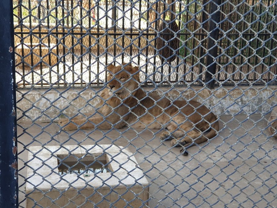 Family Park - Foto 2