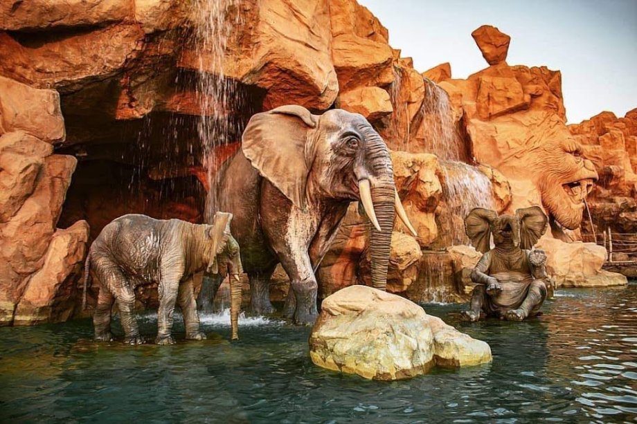 Family Park - Foto 4