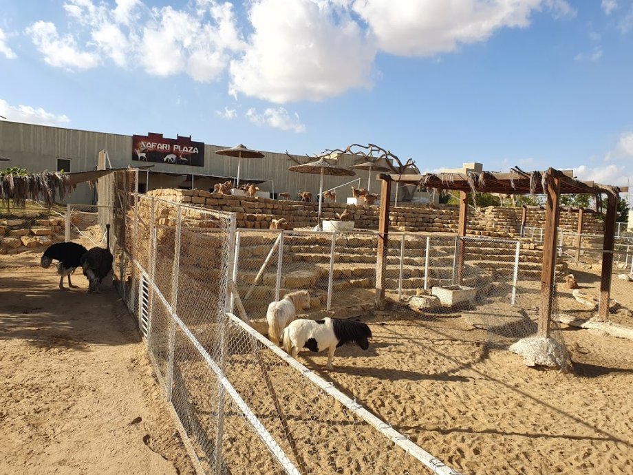 Family Park - Foto 10