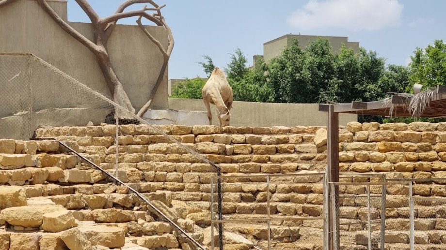 Family Park - Foto 18