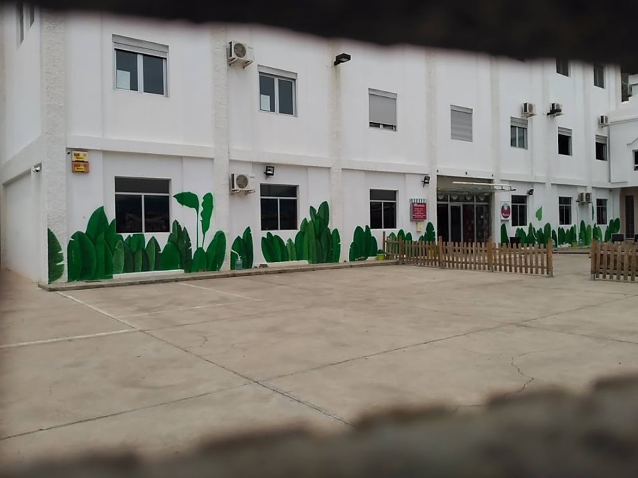 Divertilandia - Foto 8