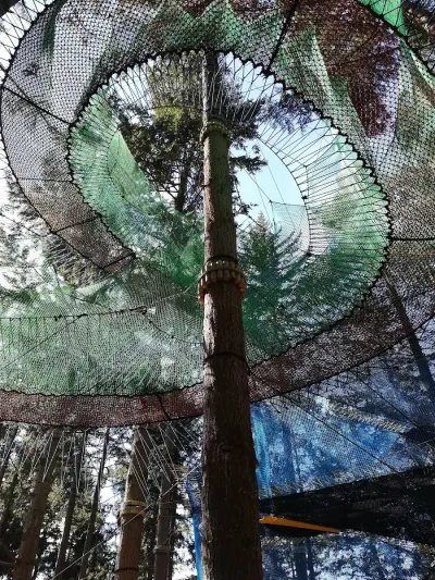 La Selva de la Aventura 4