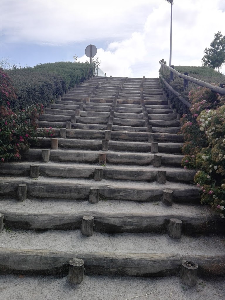 Lipor, Adventure Park - Foto 2