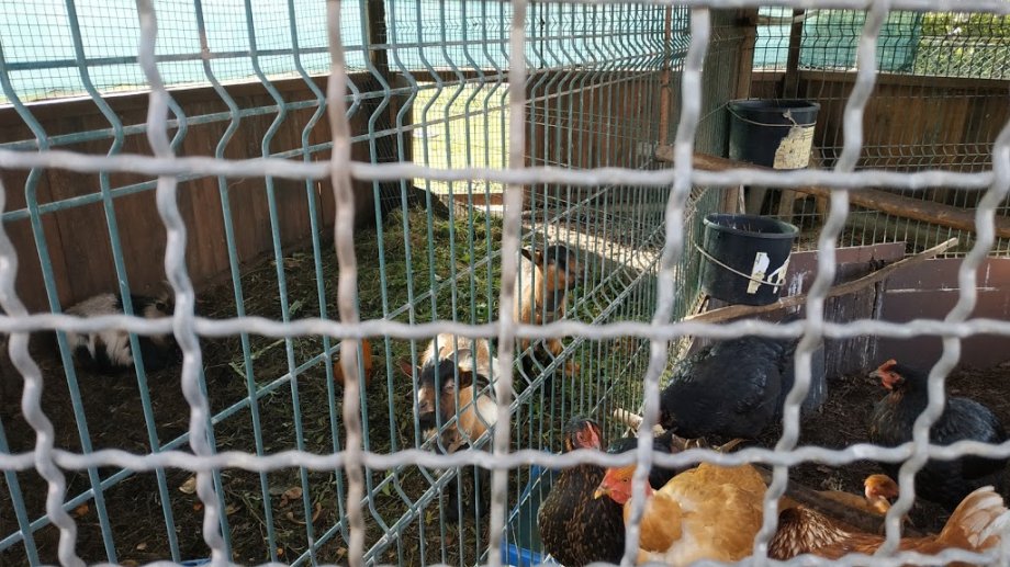 Lipor, Adventure Park - Foto 9