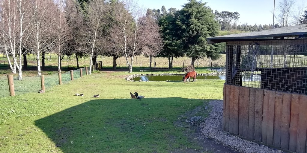 Lipor, Adventure Park - Foto 1