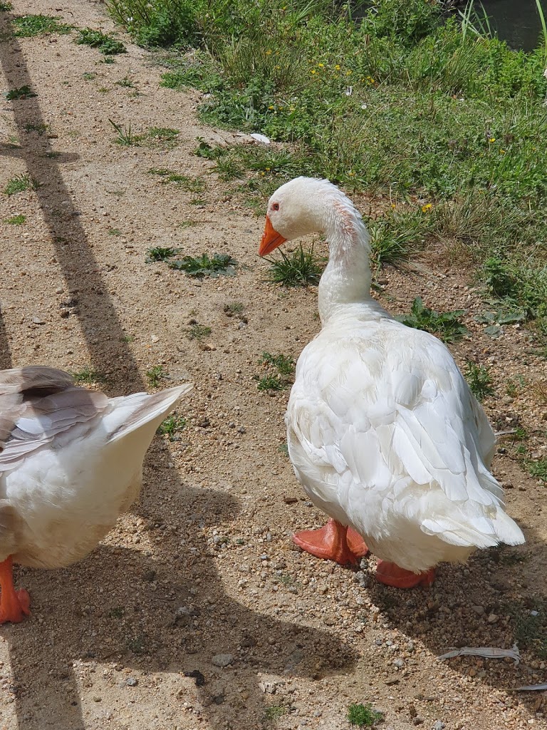 Parque infantil de Barreiro - Foto 1