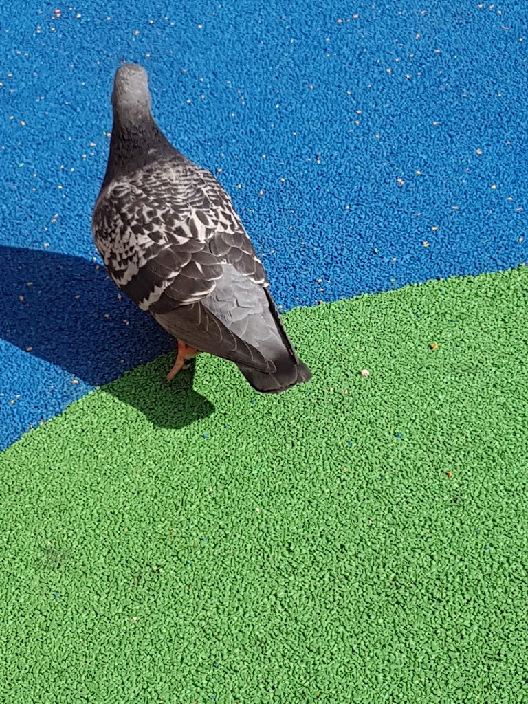 Parque infantil Maruja Mallo - Foto 7