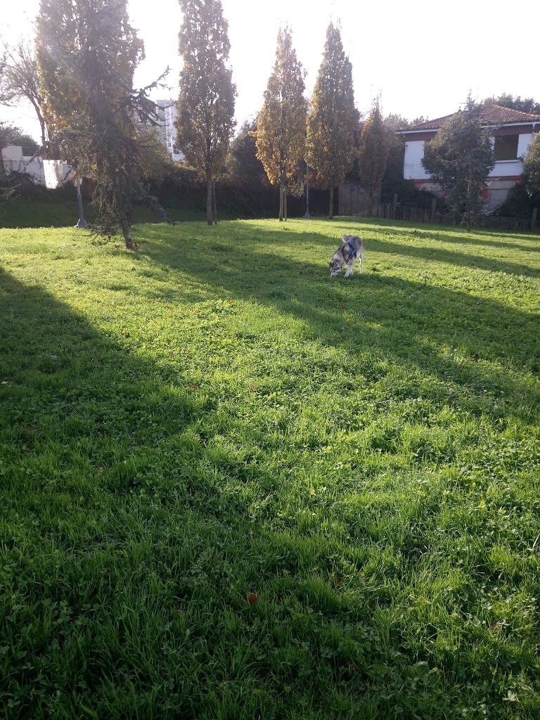 Parque da Rúa Pizarro 8