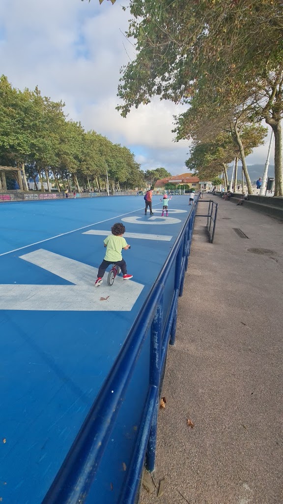 Paseo de Samil - Foto 10